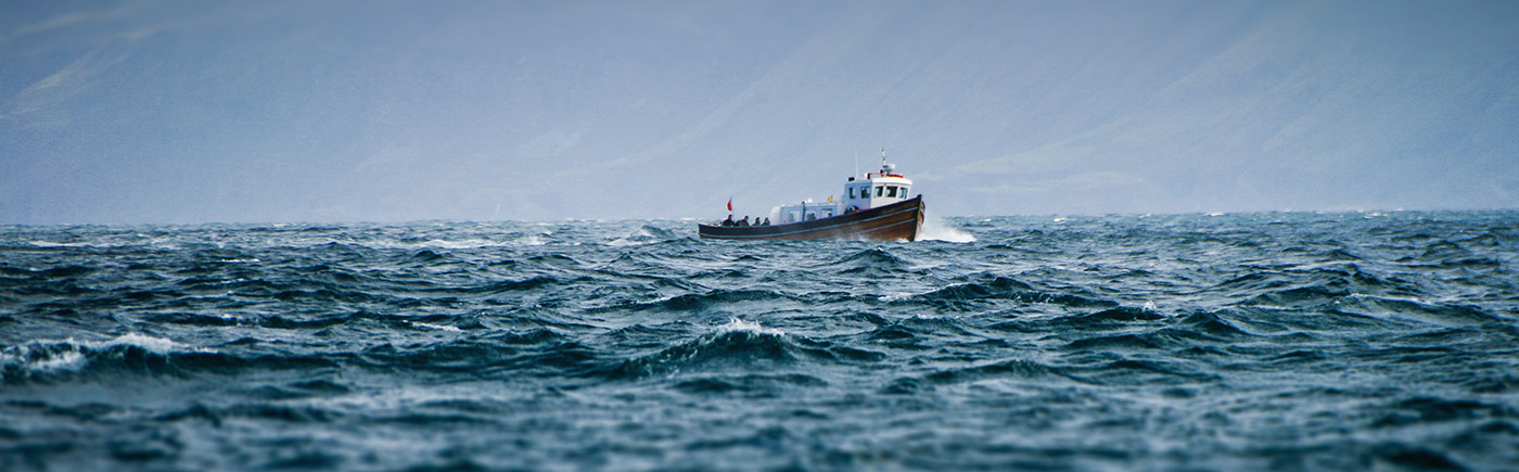 Fishing boat at sea